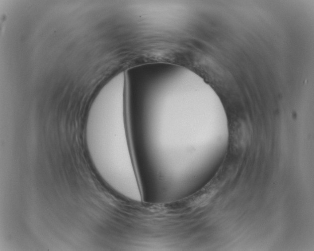 X0000088860420200706080755