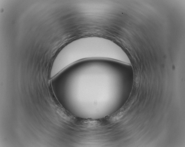 X0000088860428200706080755