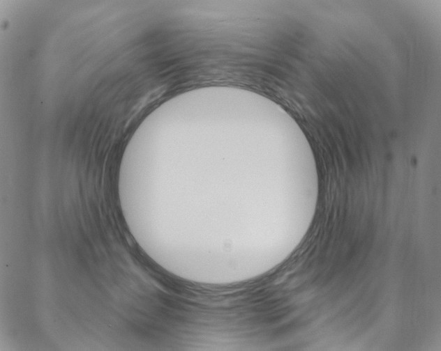 X0000088860431200706080755