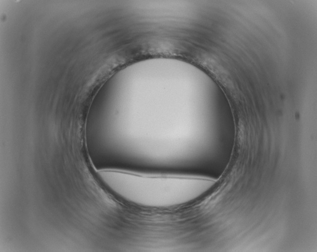 X0000088860449200706080755