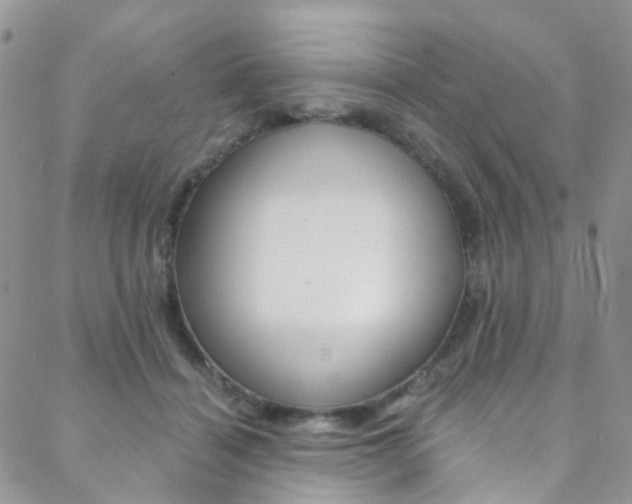 X0000088860460200706080755