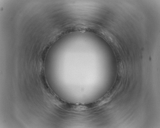 X0000088860463200706080755