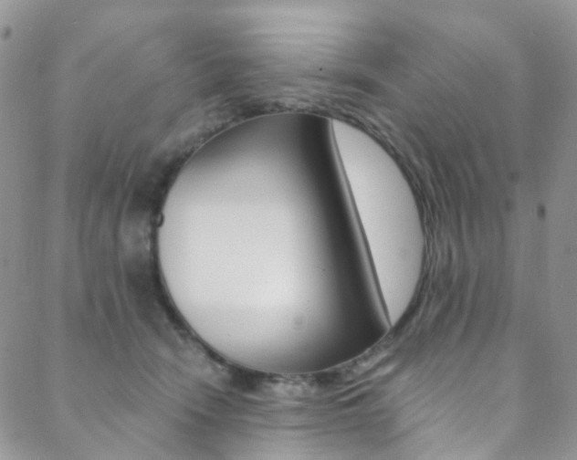 X0000088860466200706080755