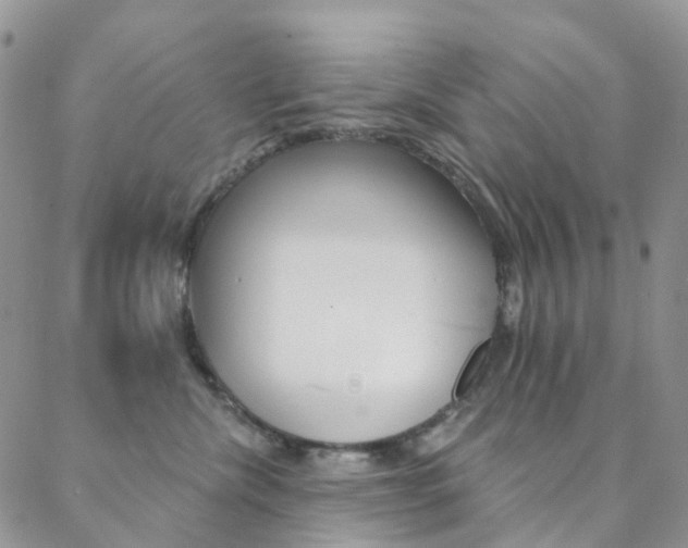 X0000088860476200706080755