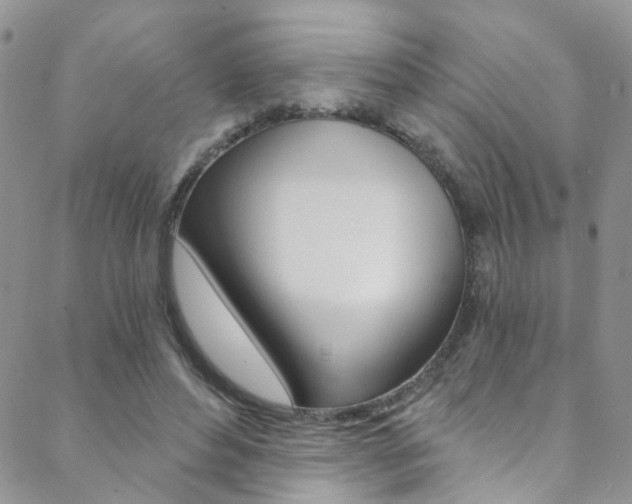 X0000088860496200706080754