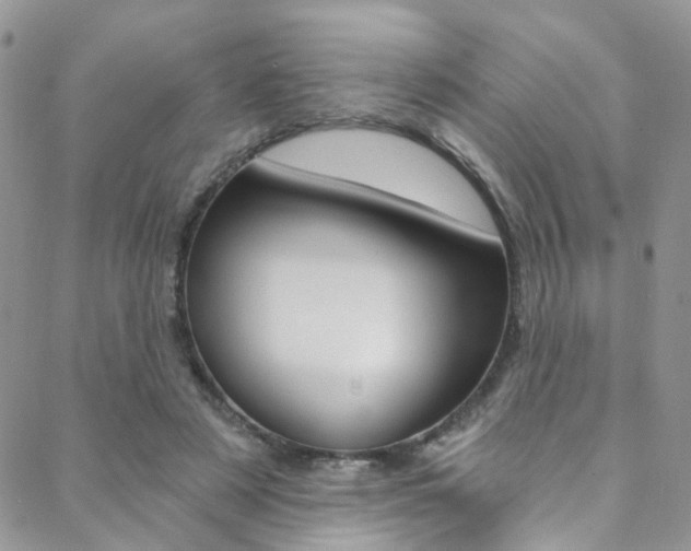 X0000088860497200706080754