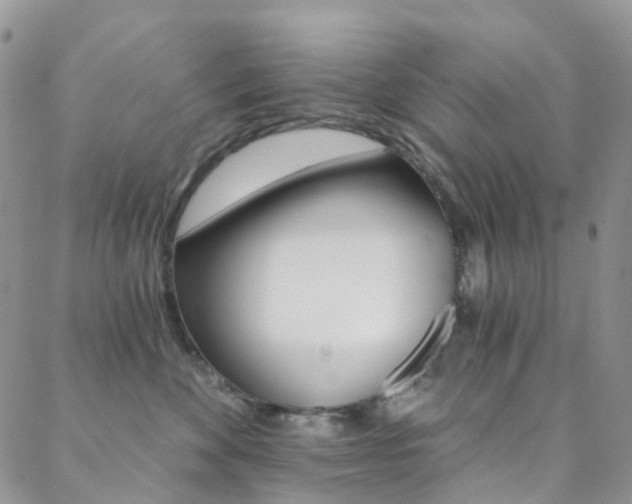 X0000088860524200706080754