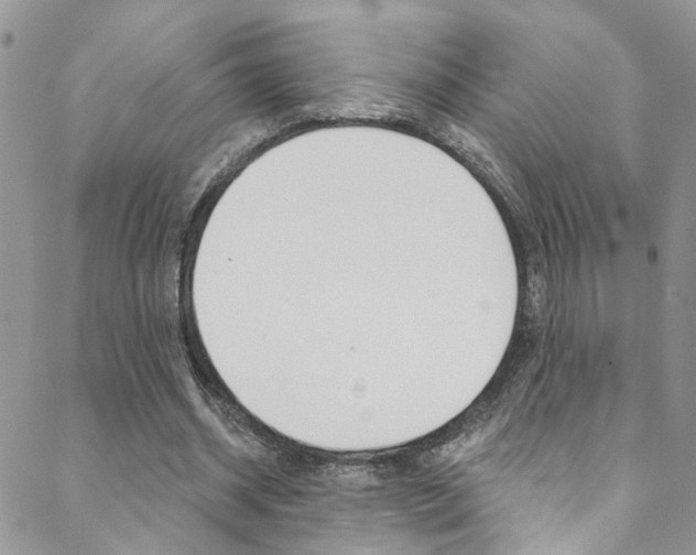 X0000088860534200706080753