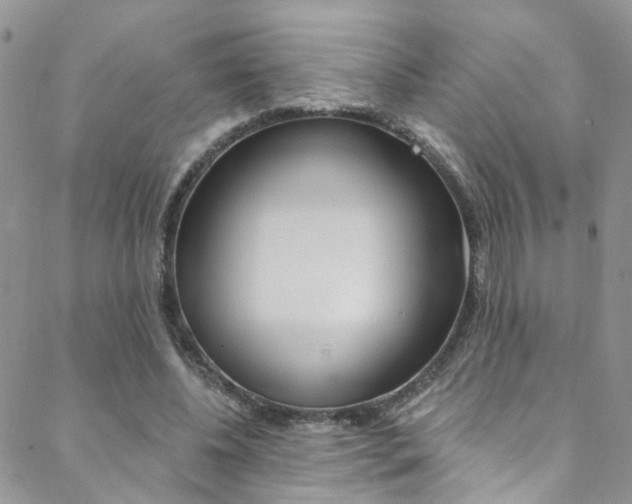 X0000088860540200706080753