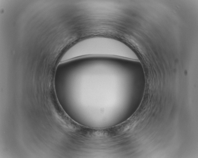 X0000088860546200706080753