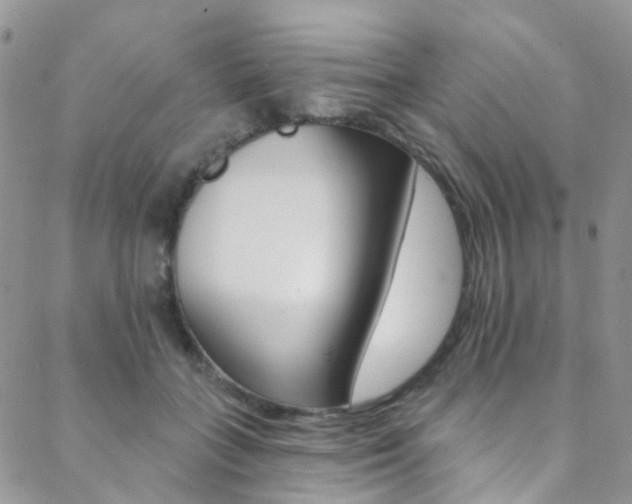 X0000088860555200706080753
