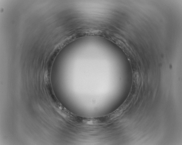 X0000088860564200706080753