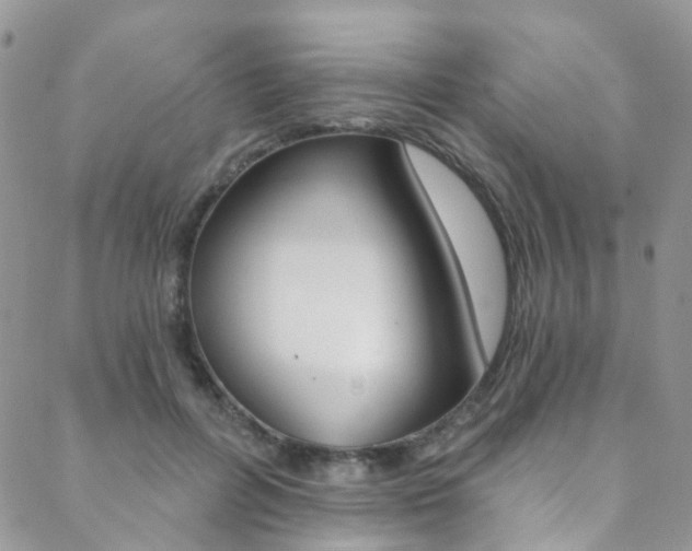 X0000088860600200706080752