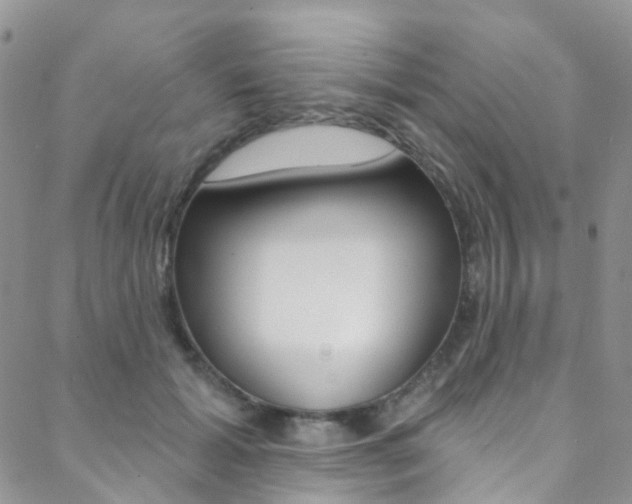 X0000088860605200706080752