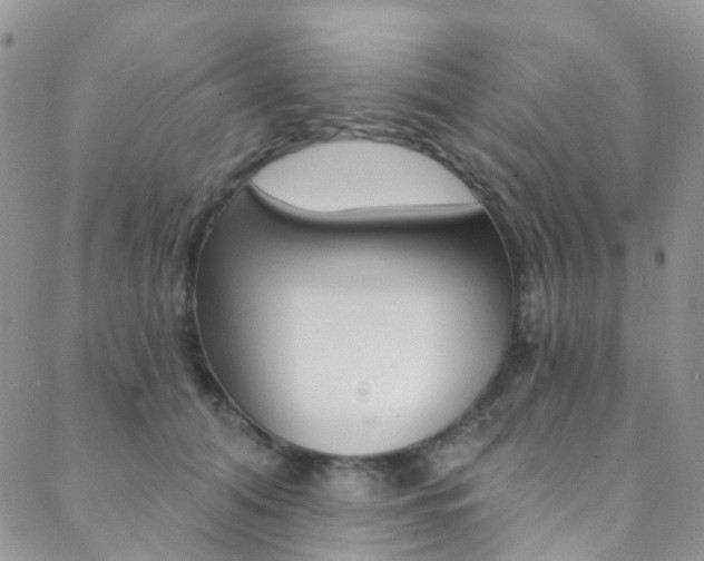 X0000088860608200706080752