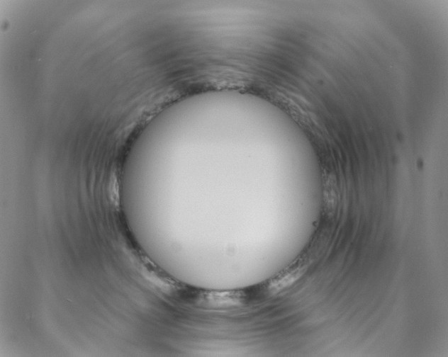 X0000088860622200706080752