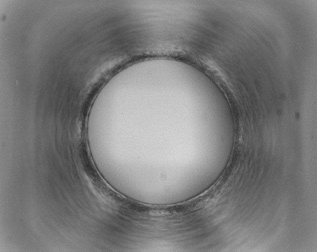X0000088860636200706080751
