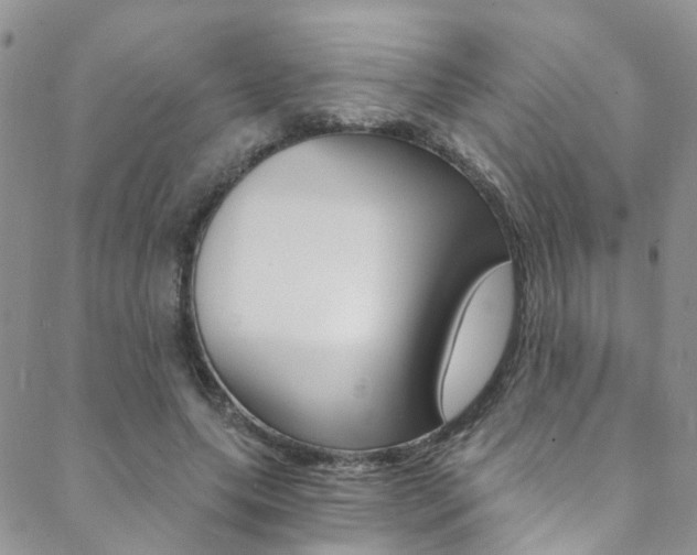 X0000088860639200706080751