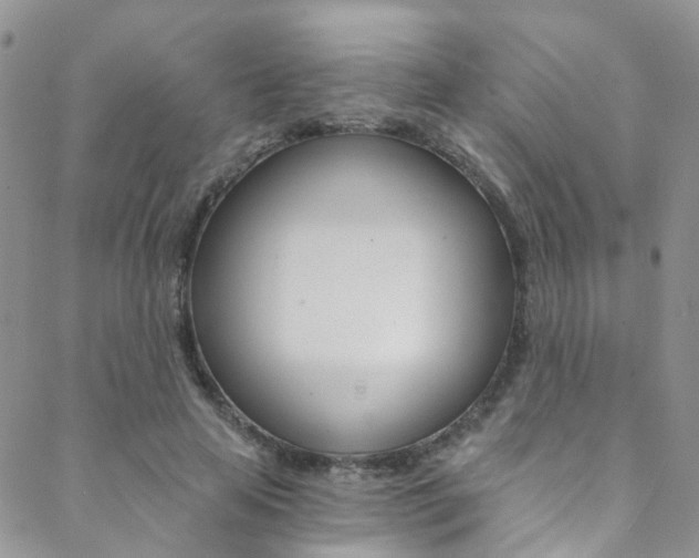 X0000088860641200706080751