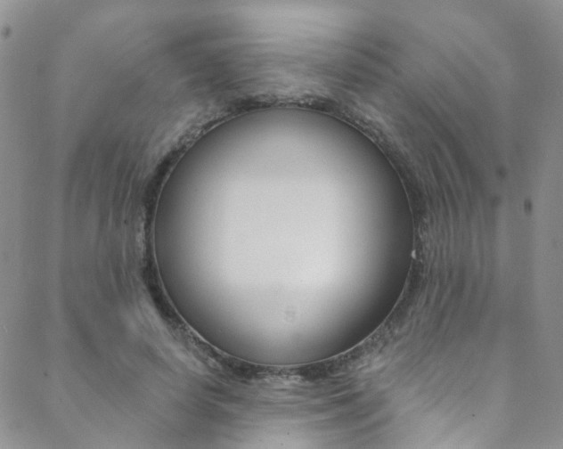 X0000088860642200706080751