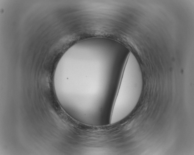 X0000088860643200706080751