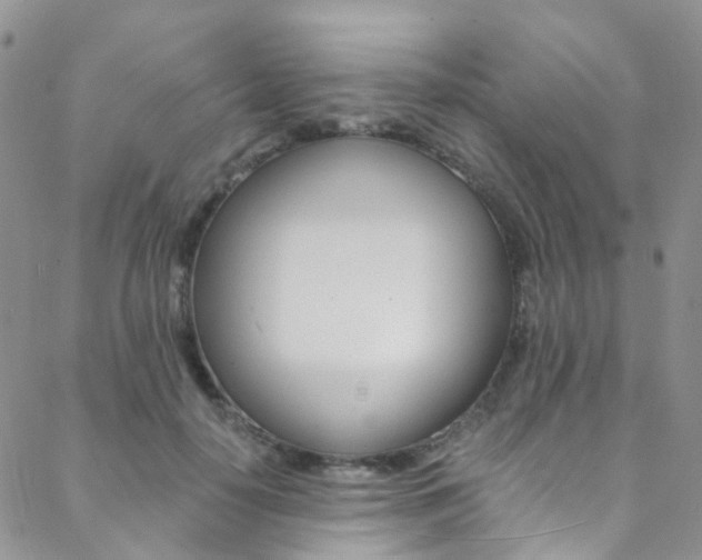 X0000088860650200706080752