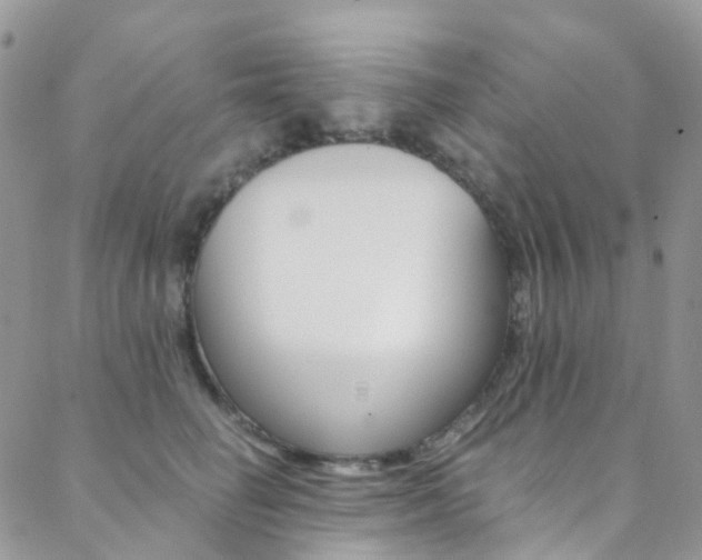 X0000088860662200706080752