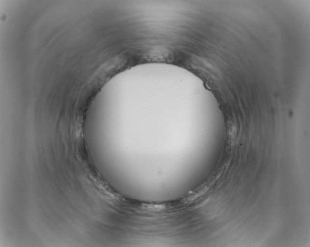 X0000088860665200706080752