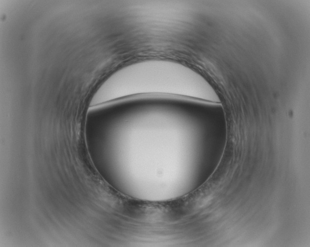 X0000088860697200706080751