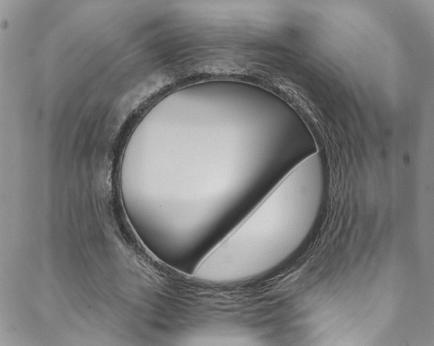 X0000088860727200706080750