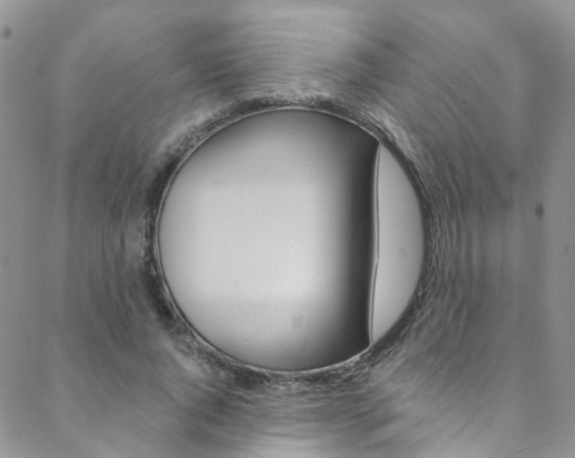 X0000088860736200706080750