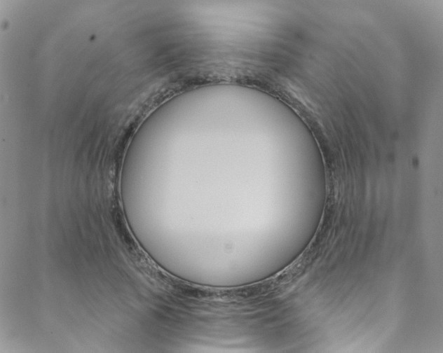 X0000088860737200706080750