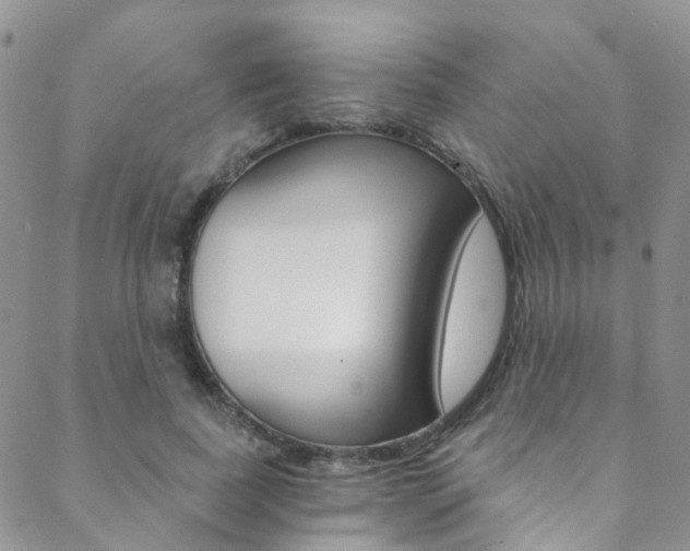 X0000088860739200706080750