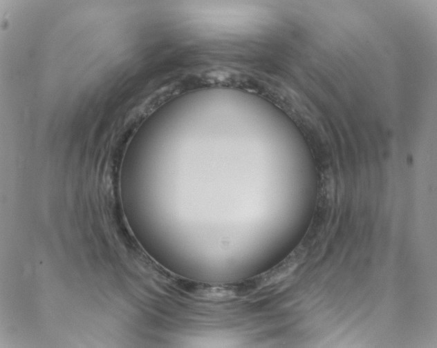 X0000088860754200706080750