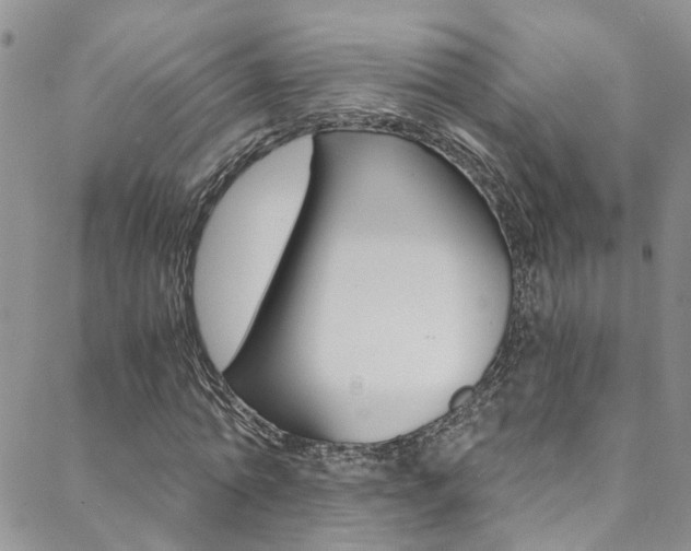 X0000088860774200706080749