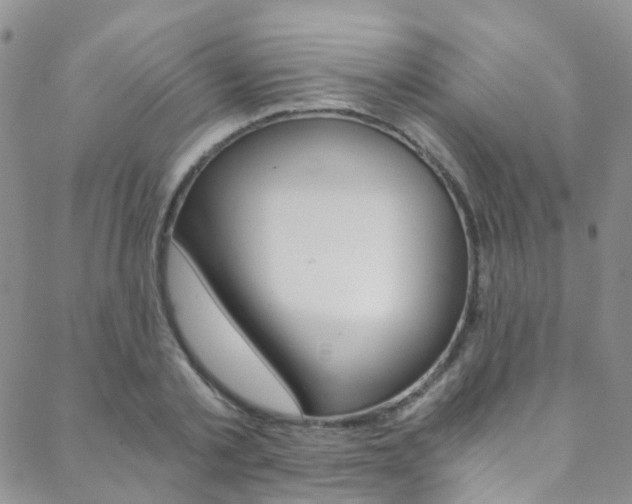 X0000088860789200706080749