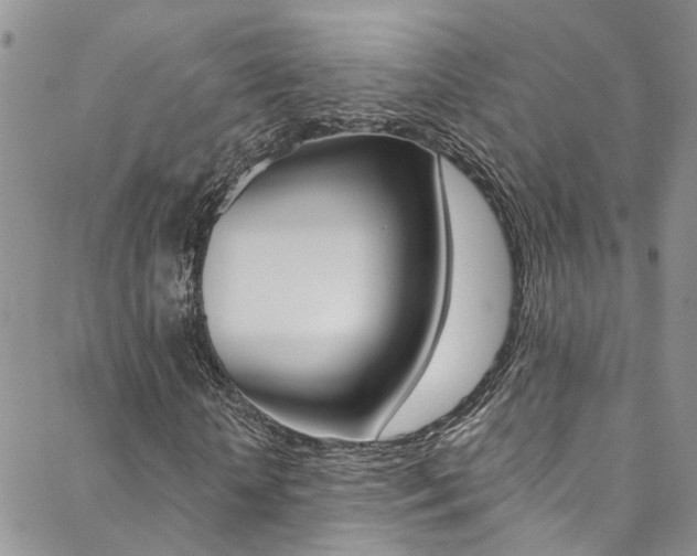 X0000088860818200706080748