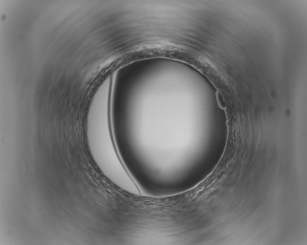 X0000088860822200706080748