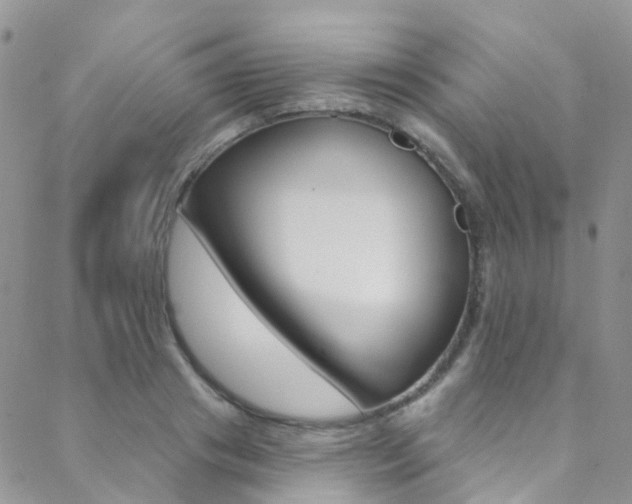 X0000088860841200706080748