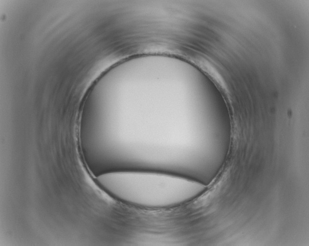 X0000088860847200706080749