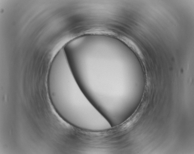 X0000088860855200706080749