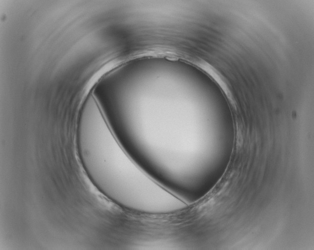 X0000088860861200706080749