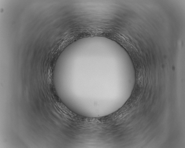 X0000088860866200706080748