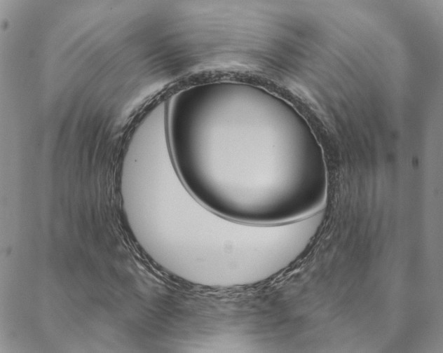 X0000088860872200706080748