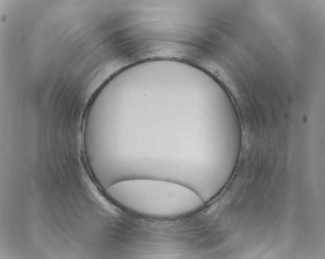 X0000088860890200706080748