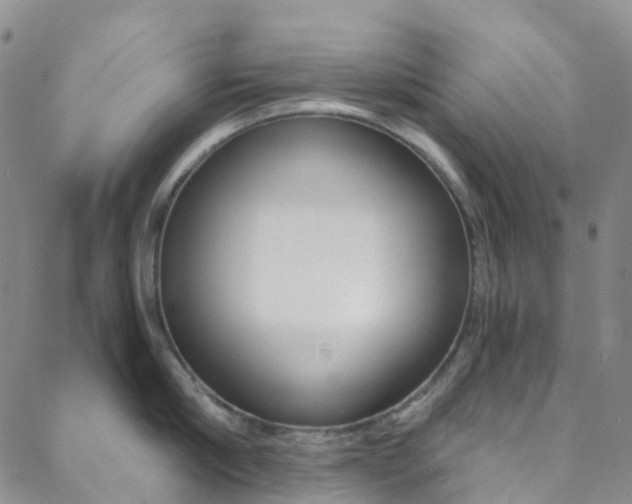 X0000088860910200706080747