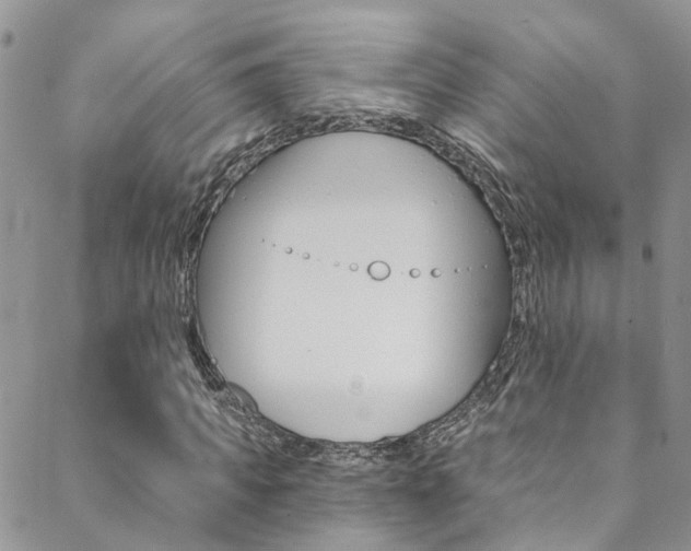 X0000088860917200706080747