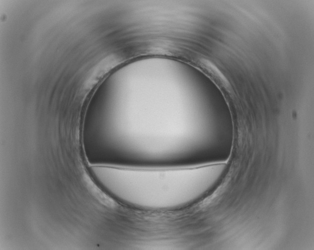 X0000088860938200706080747