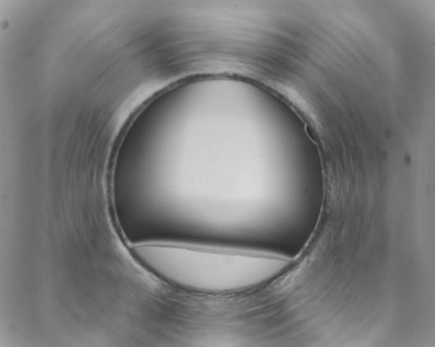 X0000088860943200706080747