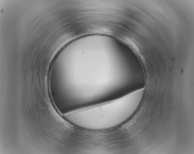 X0000088860947200706080747